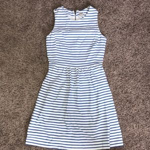 J.Crew Dress